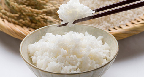 Rice